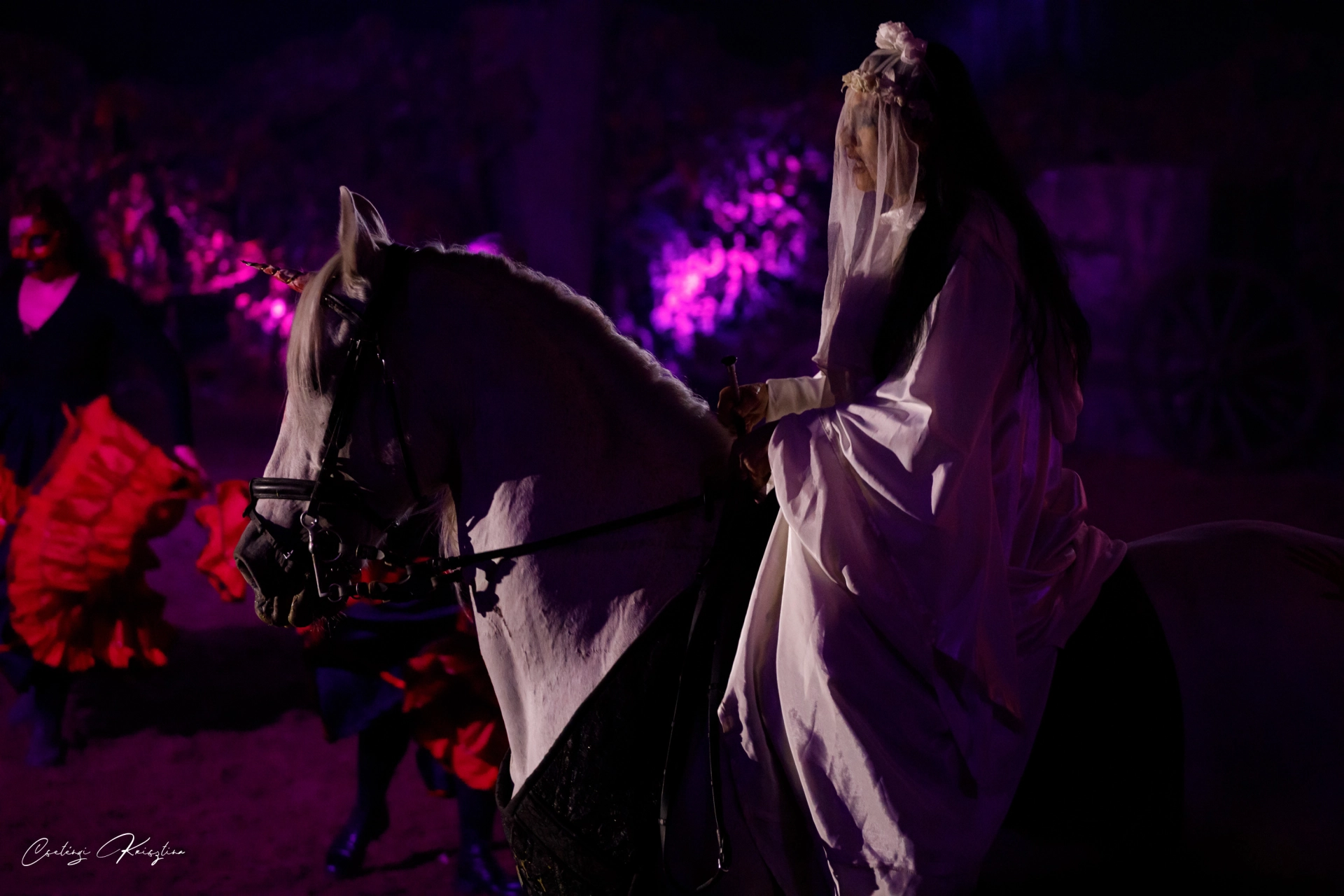 Halloween Gála – 16. kép