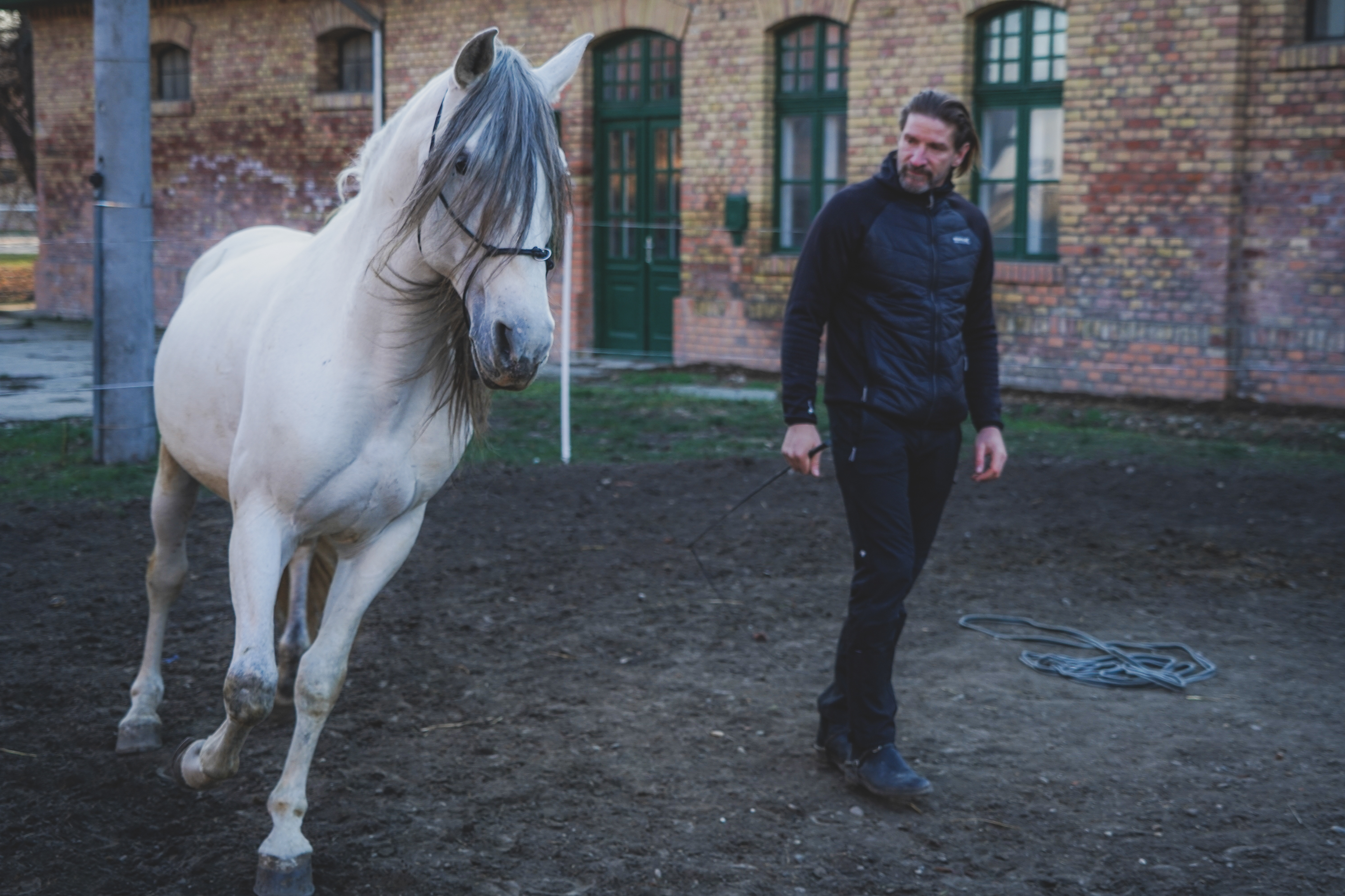 A ló is lehet az ember legjobb barátja – Szilaj bemutatóra készül a Nemzeti Lovas Színház