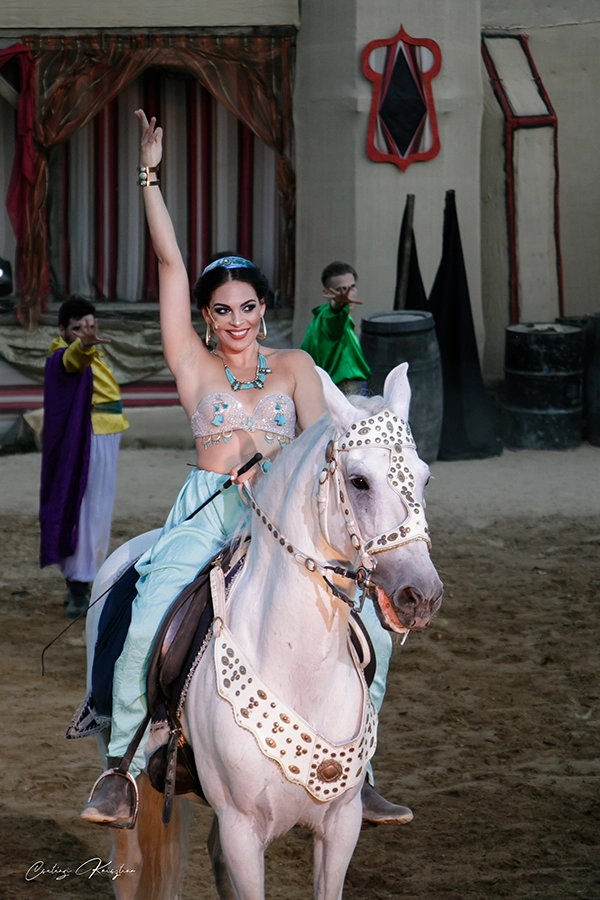 Aladdin – galériakép 11