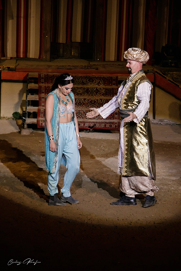 Aladdin – galériakép 55